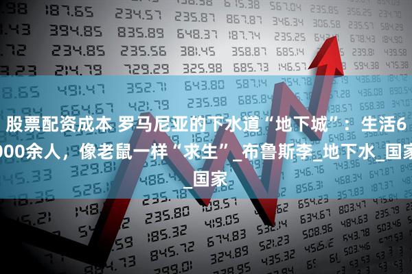 股票配资成本 罗马尼亚的下水道“地下城”：生活6000余人，像老鼠一样“求生”_布鲁斯李_地下水_国家